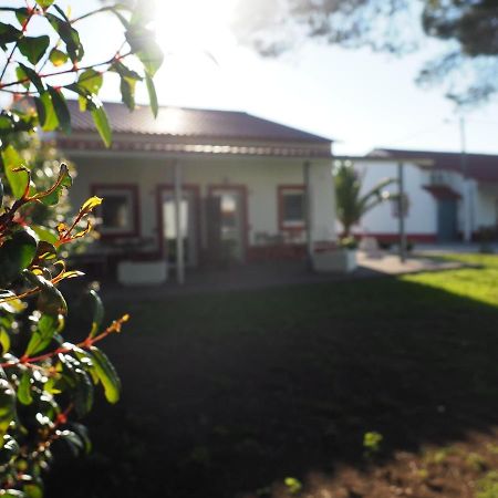 Casa Das Pipas #5 Pinhal Novo Luaran gambar